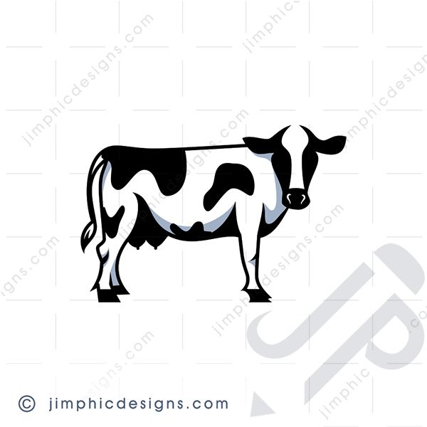 Iconic diary cow with black spots in a general standing position.