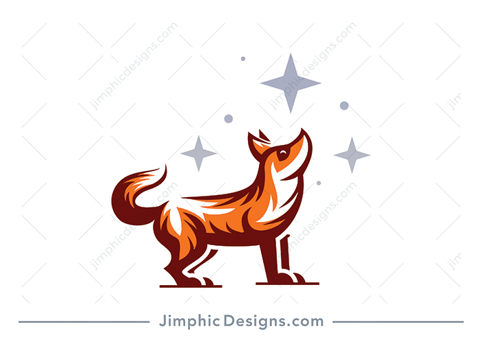 Modern fox standing on all fours looking up at the stars, with a glister in his eye.