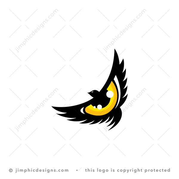 Eagle eye symbol Royalty Free Vector Image - VectorStock